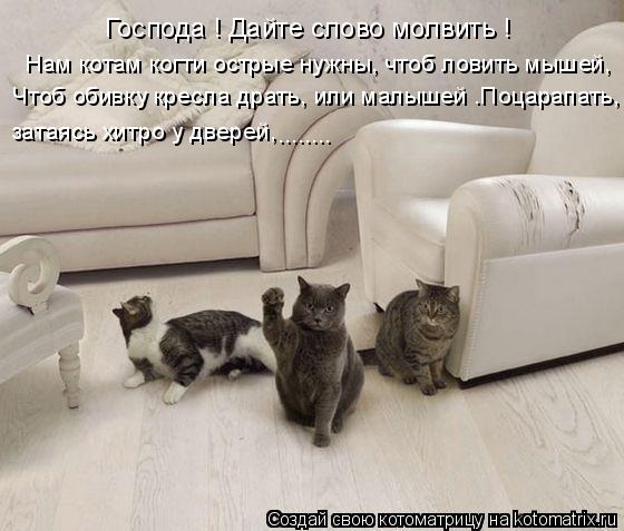 Котоматрица: Господа ! Дайте слово молвить ! Нам котам когти острые нужны, чтоб ловить мышей,  Чтоб обивку кресла драть, или малышей .Поцарапать,  затаясь х