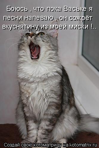 Котоматрица: Боюсь , что пока Ваське я  песни напеваю , он сожрёт вкуснятину из моей миски !..