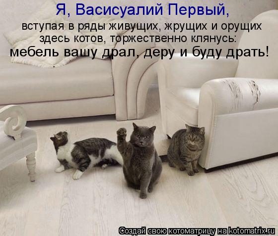 вступая в ряды живущих, жрущих и орущих здесь котов, торжественно клянусь: мебель вашу драл, деру и б... Котоматрица: вступая в ряды живущих, жрущих и орущих здесь котов, торжественно клянусь: мебель вашу драл, деру и буду драть! Я, Васисуалий Первый,