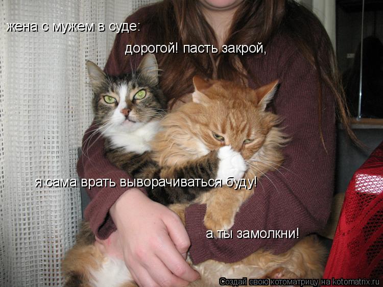 Котоматрица: жена с мужем в суде: дорогой! пасть закрой, я сама врать выворачиваться буду! а ты замолкни!