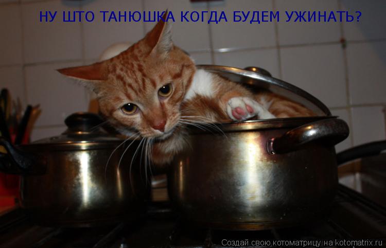 Котоматрица: НУ ШТО ТАНЮШКА КОГДА БУДЕМ УЖИНАТЬ?