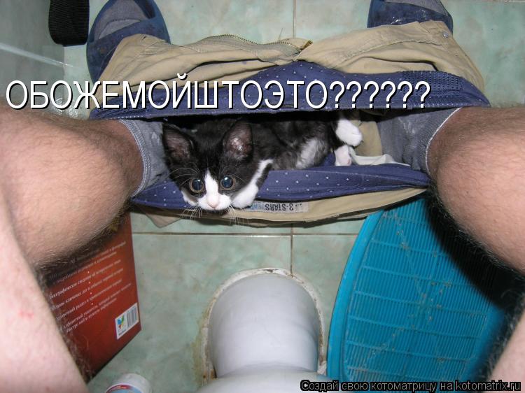 Котоматрица: ОБОЖЕМОЙШТОЭТО??????