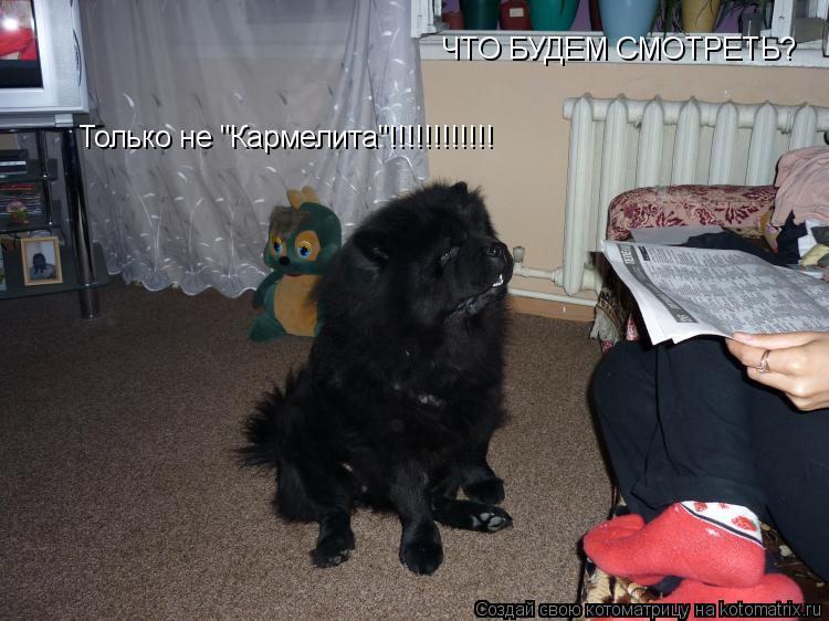 Котоматрица: ЧТО БУДЕМ СМОТРЕТЬ? Только не "Кармелита"!!!!!!!!!!!!