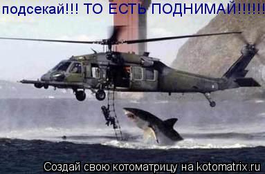 Котоматрица: подсекай!!! ТО ЕСТЬ ПОДНИМАЙ!!!!!!