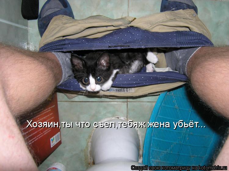 Котоматрица: Хозяин,ты что съел,тебяж жена убьёт...