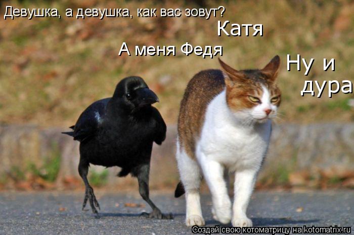 Котоматрица: Девушка, а девушка, как вас зовут? Катя А меня Федя Ну и  дура