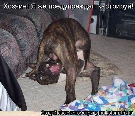Котоматрица: Хозяин! Я же предупреждал кастрируй!