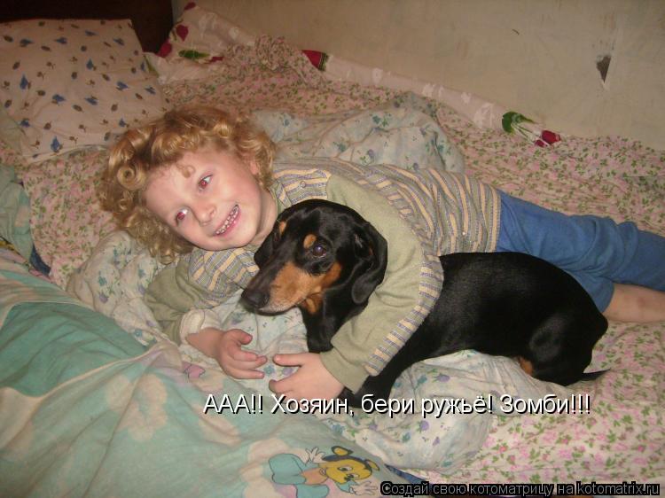 Котоматрица: ААА!! Хозяин, бери ружьё! Зомби!!!