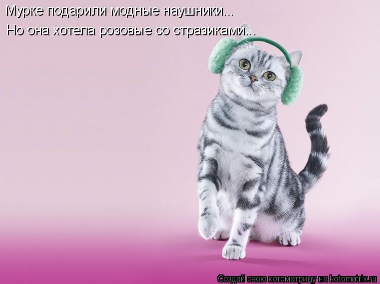 Котоматрица: Мурке подарили модные наушники... Но она хотела розовые со стразиками...