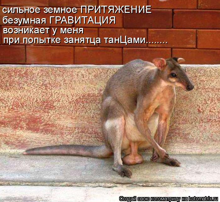 Котоматрица: сильное земное ПРИТЯЖЕНИЕ безумная ГРАВИТАЦИЯ возникает у меня при попытке занятца танЦами........