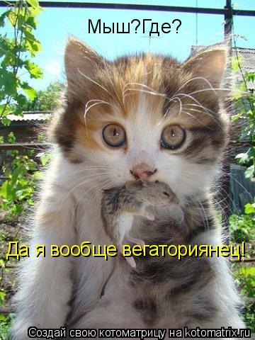 Котоматрица: Мыш?Где? Да я вообще вегаториянец!