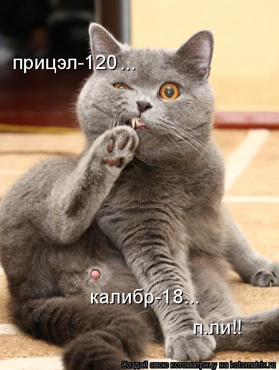 Котоматрица: прицэл-120 калибр-18... ... п.ли!!