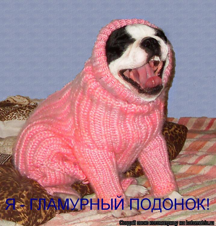 Котоматрица: Я - ГЛАМУРНЫЙ ПОДОНОК!