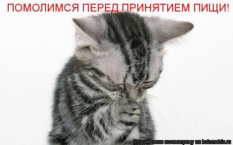 Котоматрица: ПОМОЛИМСЯ ПЕРЕД ПРИНЯТИЕМ ПИЩИ!