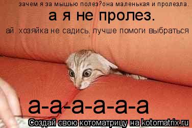 Котоматрица: зачем я за мышью полез?она маленькая и пролезла.  а я не пролез. ай. хозяйка не садись. лучше помоги выбраться  а-а-а-а-а-а