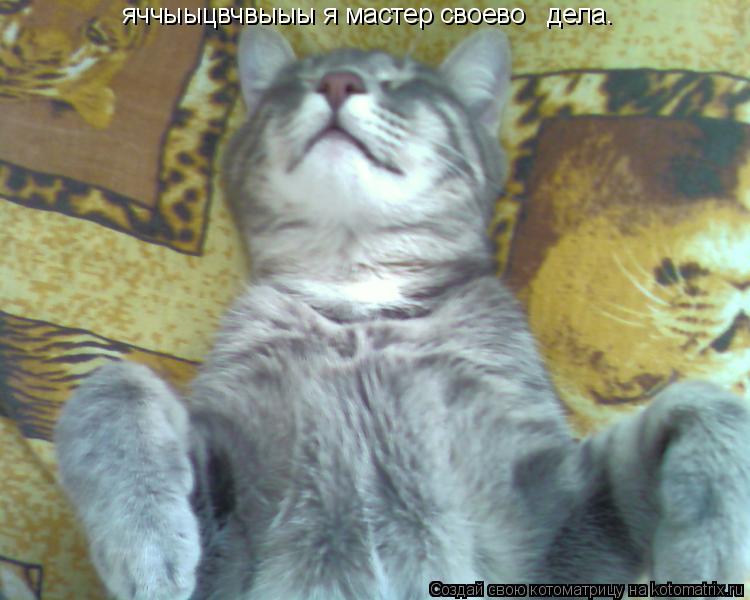 Котоматрица: яччыыцвчвыыы я мастер своево   дела.