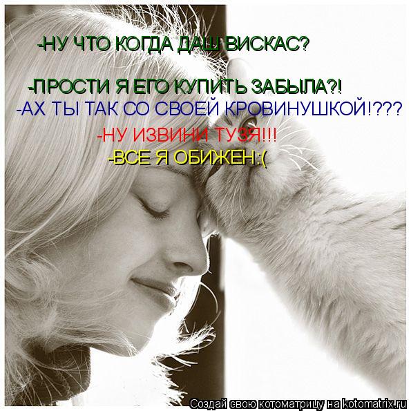 Котоматрица: -НУ ЧТО КОГДА ДАШ ВИСКАС? -ПРОСТИ Я ЕГО КУПИТЬ ЗАБЫЛА?! -АХ ТЫ ТАК СО СВОЕЙ КРОВИНУШКОЙ!??? -НУ ИЗВИНИ ТУЗЯ!!! -ВСЕ Я ОБИЖЕН:(