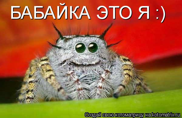Котоматрица: БАБАЙКА ЭТО Я :)