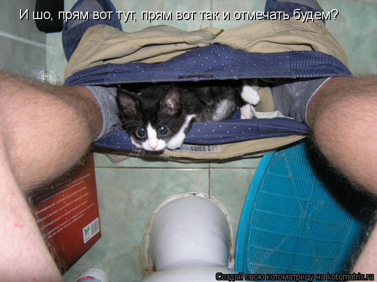 Котоматрица: И шо, прям вот тут, прям вот так и отмечать будем?