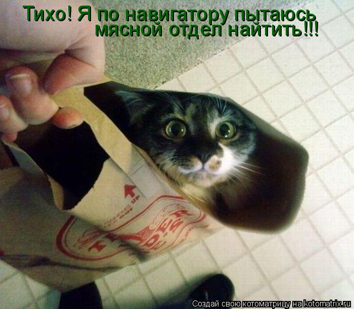 Котоматрица: Тихо! Я по навигатору пытаюсь мясной отдел найтить!!!