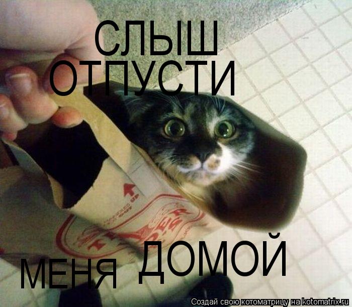 Котоматрица: СЛЫШ ОТПУСТИ МЕНЯ ДОМОЙ