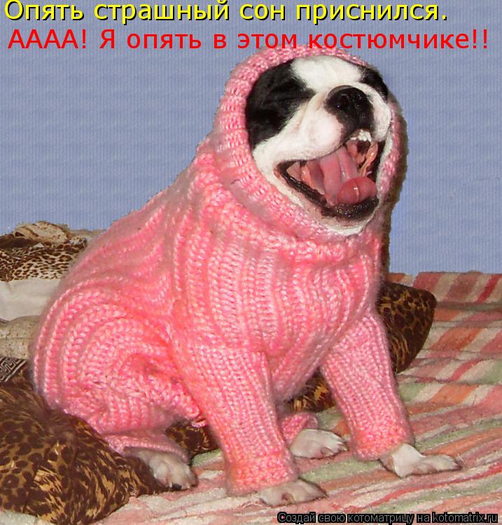 Котоматрица: Опять страшный сон приснился. АААА! Я опять в этом костюмчике!!
