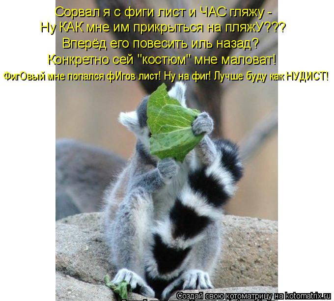 Котоматрица: Сорвал я с фиги лист и ЧАС гляжу - Ну КАК мне им прикрыться на пляжУ??? Вперёд его повесить иль назад?  Конкретно сей "костюм" мне маловат! ФигОв