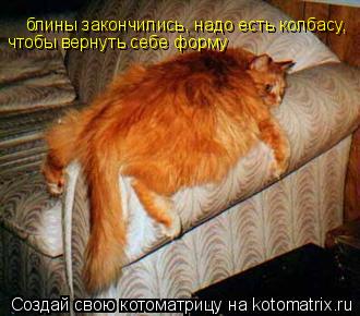 Котоматрица: блины закончились, надо есть колбасу,  чтобы вернуть себе форму