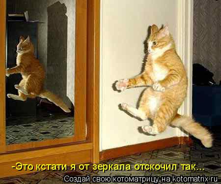 Котоматрица: -Это кстати я от зеркала отскочил так...