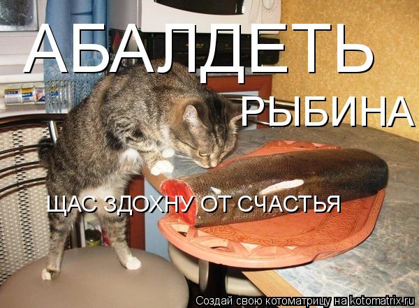 Котоматрица: АБАЛДЕТЬ РЫБИНА ЩАС ЗДОХНУ ОТ СЧАСТЬЯ