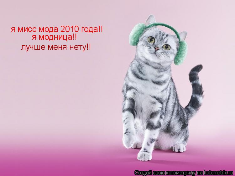 Котоматрица: я мисс мода 2010 года!! я модница!! лучше меня нету!!