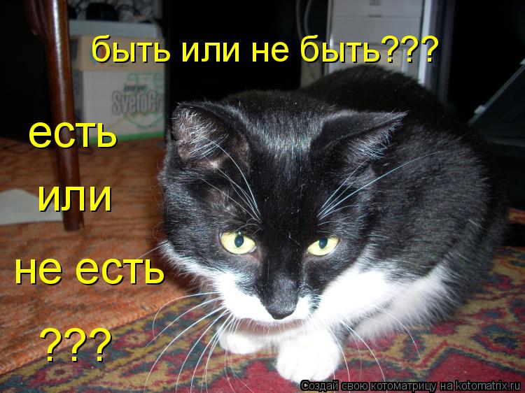 Котоматрица: быть или не быть??? есть или не есть ???