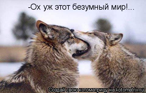 Котоматрица: -Ох уж этот безумный мир!...