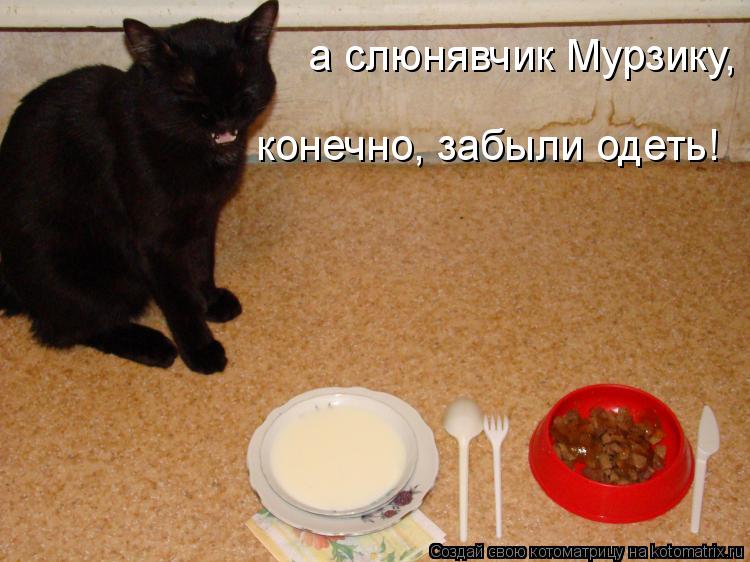 Котоматрица: а слюнявчик Мурзику,  конечно, забыли одеть!