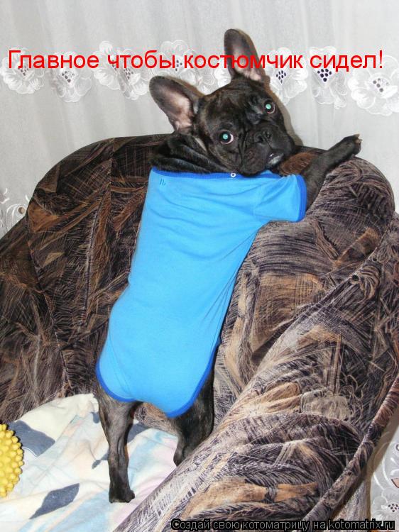 Котоматрица: Главное чтобы костюмчик сидел!