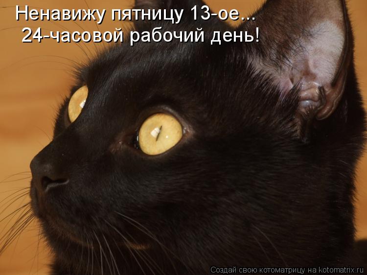 Котоматрица: Ненавижу пятницу 13-ое...  24-часовой рабочий день!