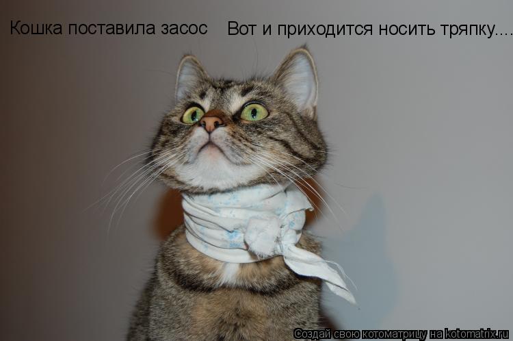 Котоматрица: Вот и приходится носить тряпку Кошка поставила засос ....