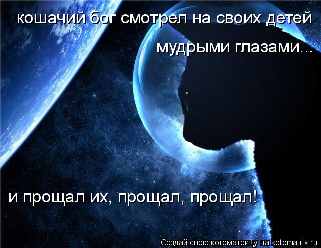 Котоматрица: кошачий бог смотрел на своих детей мудрыми глазами...  и прощал их, прощал, прощал!