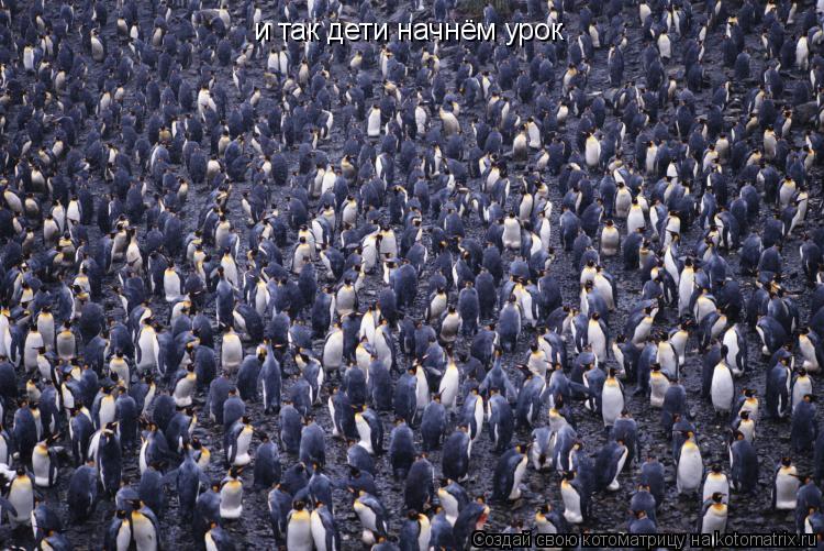 Котоматрица: и так дети начнём урок