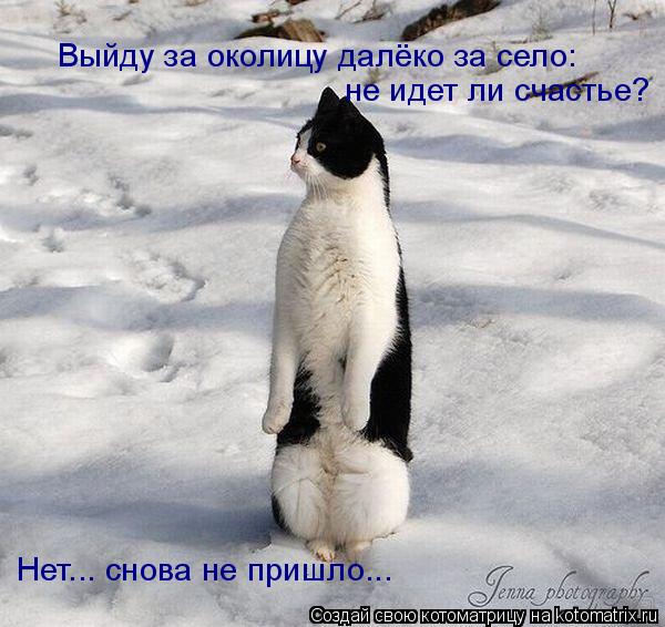 Выйду за околицу далёко за село: не идет ли счастье? Нет... снова не пришло...... Котоматрица: Выйду за околицу далёко за село: не идет ли счастье? Нет... снова не пришло...