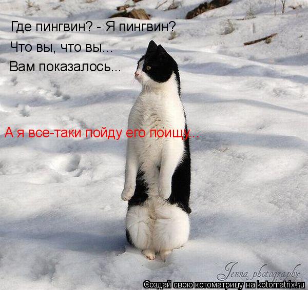 Котоматрица: Где пингвин? - Я пингвин? Что вы, что вы... Вам показалось... А я все-таки пойду его поищу...