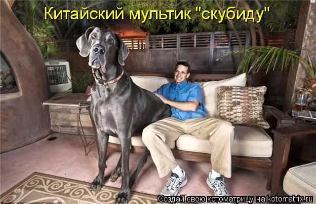 Котоматрица: Китайский мультик "скубиду"