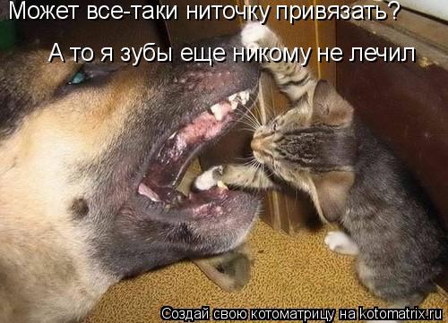Котоматрица: Может все-таки ниточку привязать?  А то я зубы еще никому не лечил