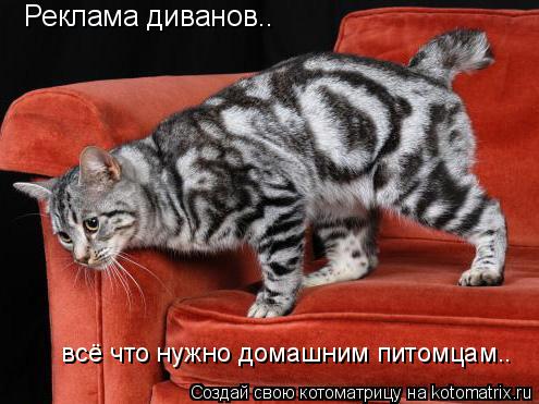 Котоматрица: Реклама диванов..  всё что нужно домашним питомцам..