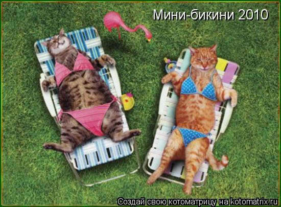 Котоматрица: Мини-бикини 2010