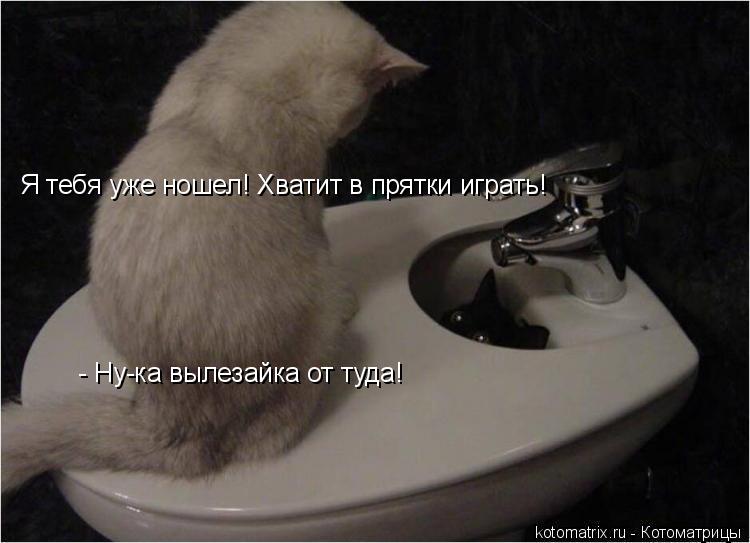 Котоматрица: - Ну-ка вылезайка от туда! Я тебя уже ношел! Хватит в прятки играть!