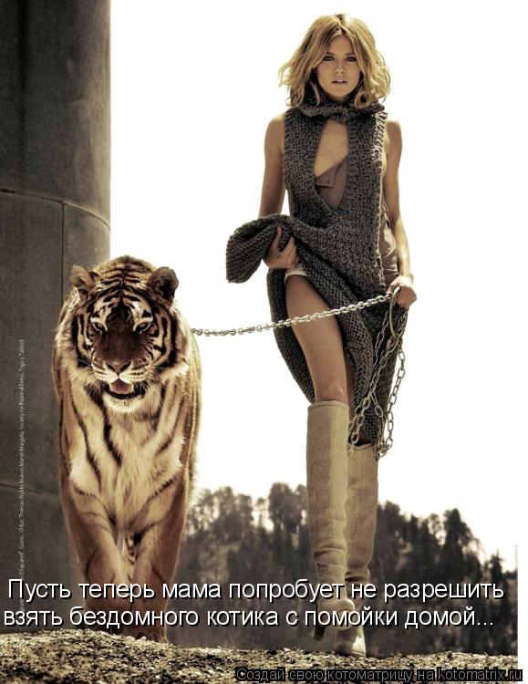 Котоматрица: Пусть теперь мама попробует не разрешить взять бездомного котика с помойки домой...