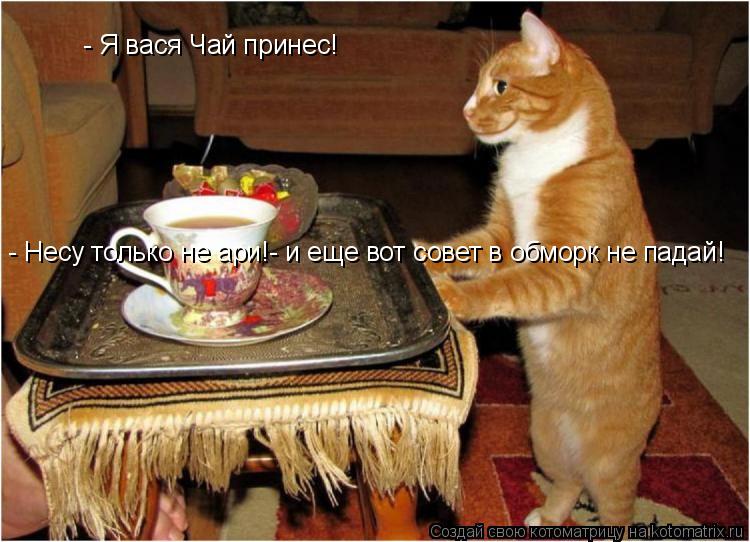 Котоматрица: - Несу только не ари!- и еще вот совет в обморк не падай! - Я вася Чай принес!