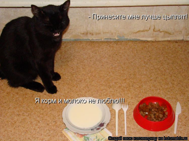Котоматрица: - Принесите мне лучше цыплят! Я корм и молоко не люблю!!!