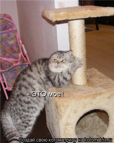 Котоматрица: - ЭТО мое!